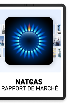 FR_DES_NatGas_2022_268x400_Retina